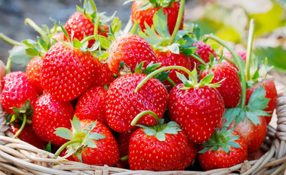 Erdbeeren Tonka Fruchtaufstrich
